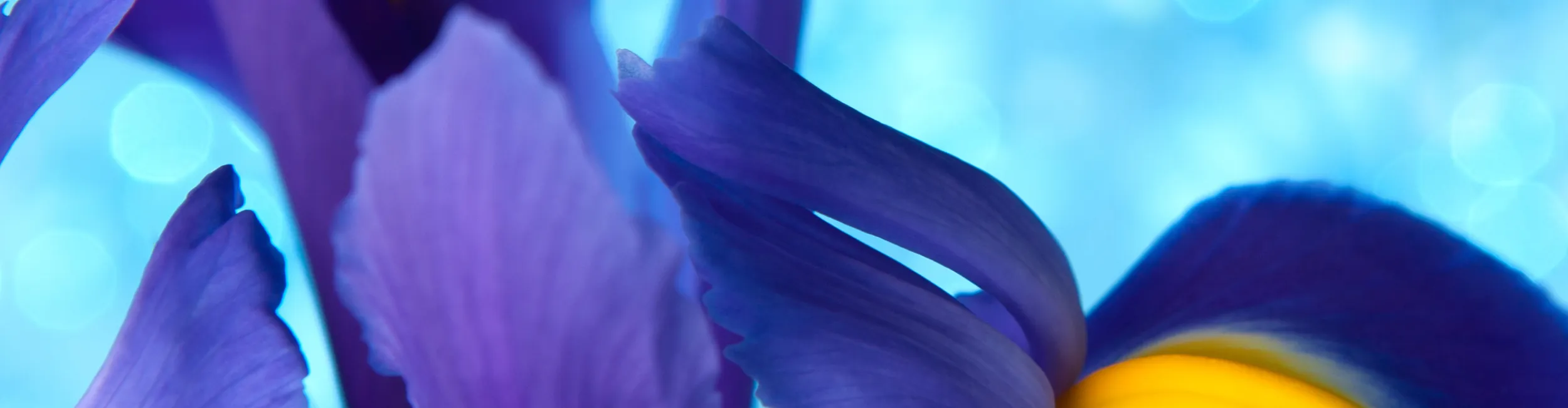 Memorial background